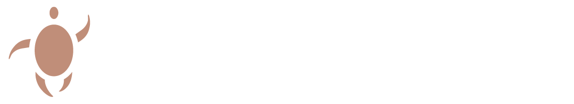 La Tortue en Equilibre